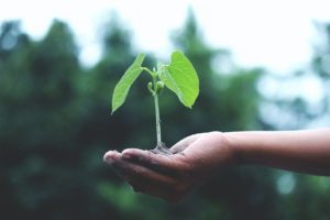 Curso: Introducción a la problemática del agua y cambio climático